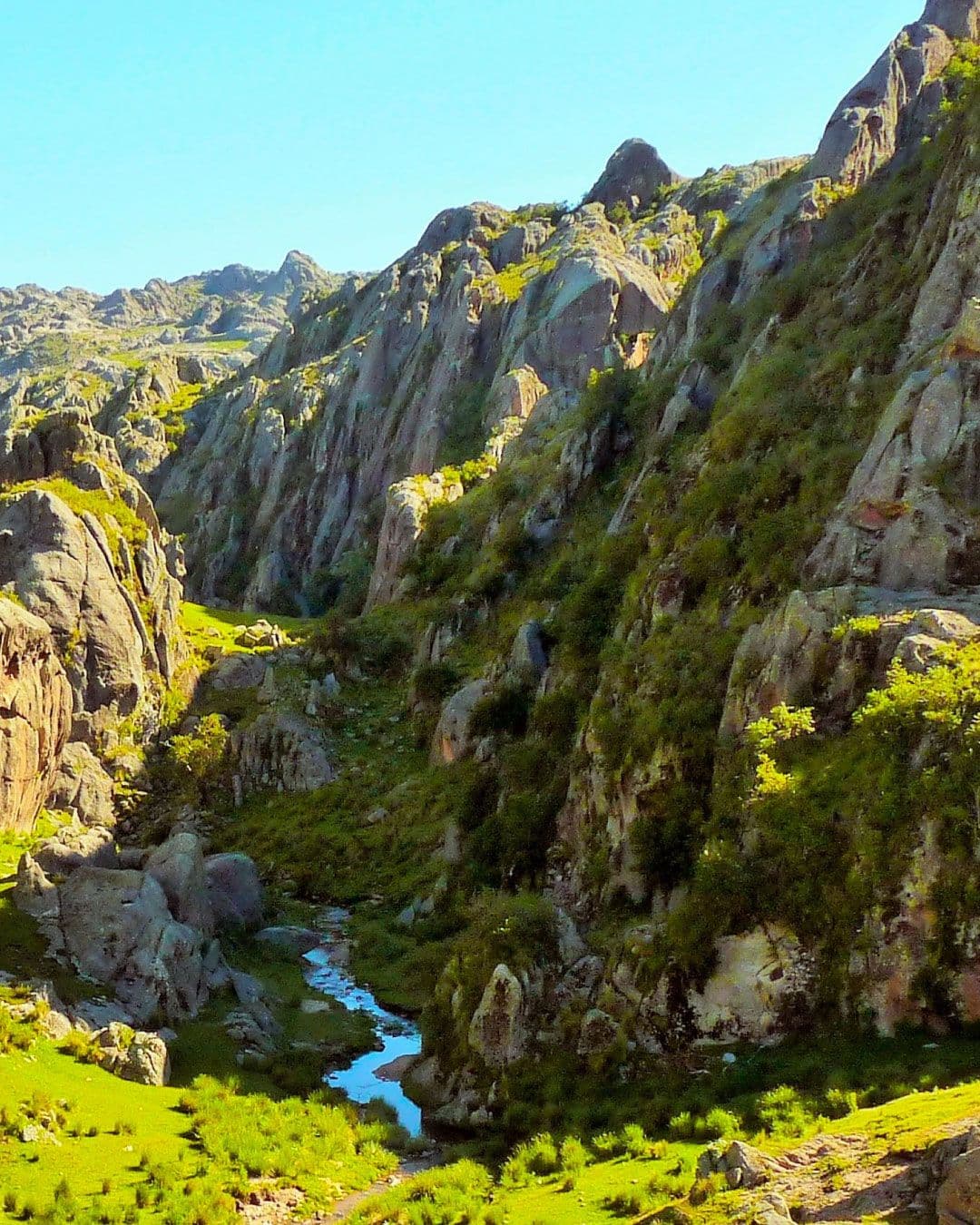 Valle de los Lisos: "l...